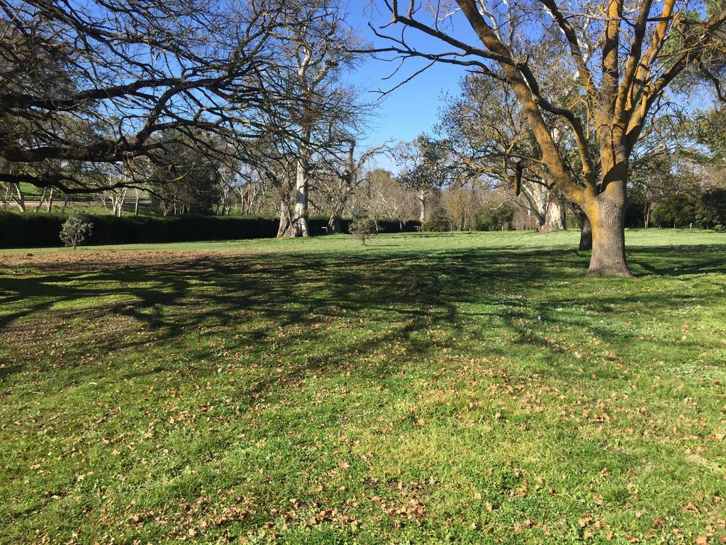 Collingrove Homestead Angaston Exterior foto