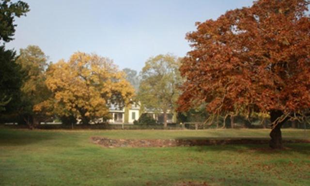 Collingrove Homestead Angaston Exterior foto